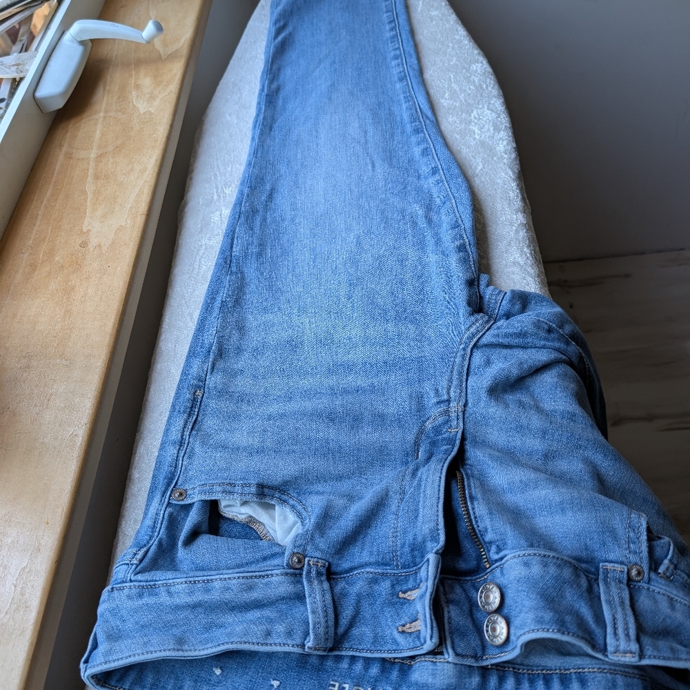American Eagle Artist Crop 14 - Picture 10 of 14